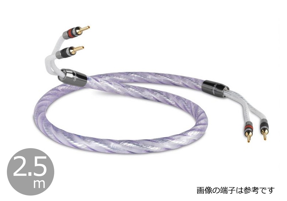 QED - Signature Genesis Silver Spiral/2.5m（完成品スピーカー