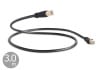 QED - Performance Ethernet Graphite/3.0m�ʥ����ǥ�����LAN�����֥�ˡ�JP�աں߸�ͭ��¨Ǽ��