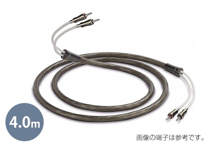 QED - SUPREMUS�ʥ��ץ졼�ॹ��/4.0m�ʴ����ʥ��ԡ����������֥롦�ڥ�/��ü������ˡ�JP�աڴ����