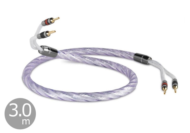 QED - Signature Genesis Silver Spiral/3.0m�ʥڥ��ˡʴ����ʥ��ԡ����������֥롦�ڥ�/ξü�᥿��Хʥʥץ饰���͡ˡ�JP�աں߸�ͭ��¨Ǽ��