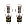 Western Electric - WE300B-MP-BOX/2ܡޥåɥڥɡȢ͢ʡJPաں߸ͭ¨Ǽ