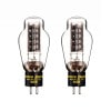 TRIODE - Western Electric 300B/ޥåɥڥʿɡ2ܡȢꡦ͢ʡˡJPաں߸ͭ¨Ǽ