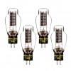 TRIODE - Western Electric 300B/ޥåɥåɡʿɡ4ܡȢꡦ͢ʡˡJPաڼǼ̤ꡦͽ