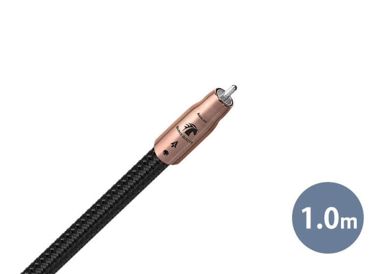 audioquest - Black Beauty/1.0m��BLACK/1M/RCA�ˡ�RCA�����֥롦�ڥ��ˡ�JP�աڥ᡼��������ʡ�Ǽ���ϳ�ǧ�头Ϣ����