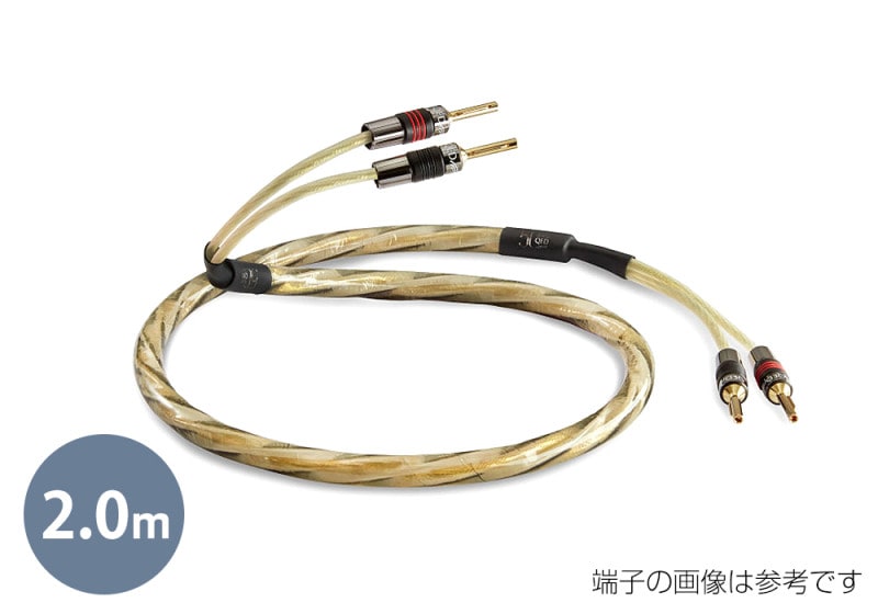 QED - Reference Golden Anniversary XT/2.0m�ʥڥ��ˡʴ����ʥ��ԡ����������֥�/��ü������ˡڼ�������/�׻�����ѡۡ�JP�ա�Ǽ���ϳ�ǧ�头Ϣ����