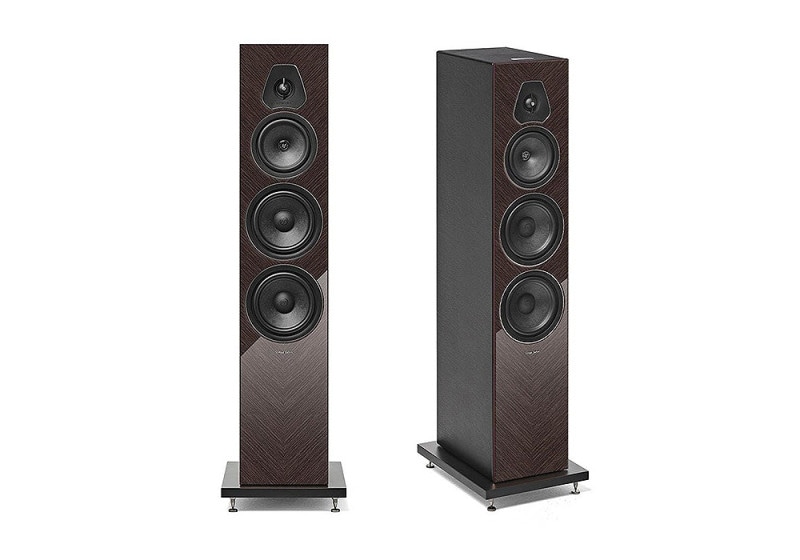 Sonus Faber - Lumina V Amator���ߥ� V ���ޥȡ����/�����󥲡ʥڥ��˥ե���������ɥ��ԡ�������JP�աڥ᡼��������ʡ�Ǽ���ϳ�ǧ�头Ϣ����