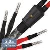 WIREWORLD - PEB10/2.0mʥԡ֥롦ξüХ磻䡼ڥ/üˡPlatinum Eclipse 10ڼ/׻ѡۡJPաǼϳǧ头Ϣ