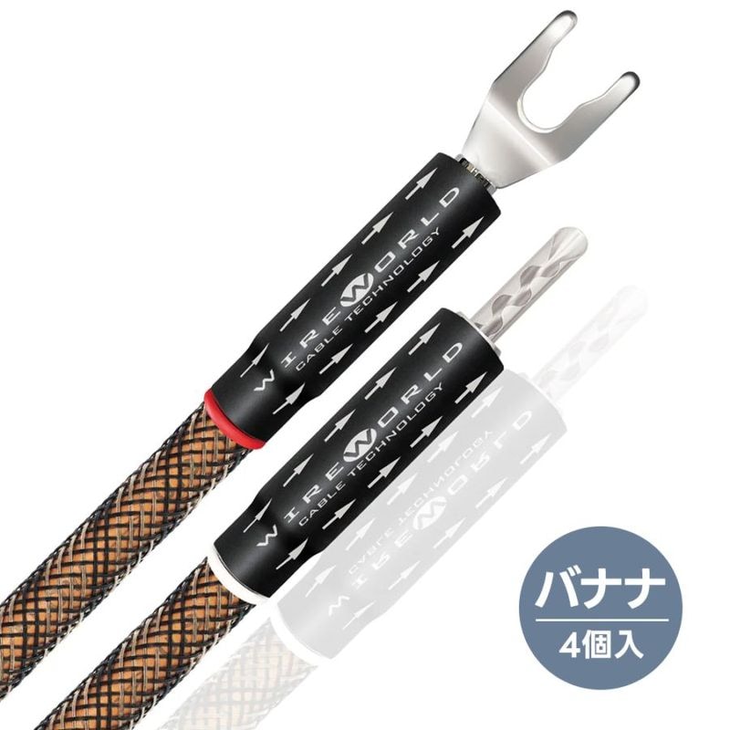 WIREWORLD - JPEC10 BANS/4PʥХʥʥץ饰4ˡEclipse 10JPաڥ᡼ʡǼϳǧ头Ϣ