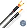 WIREWORLD - JPOA10 BANG/4P�ʥХʥʥץ饰��4������ˡ�Oasis 10���JP�աڥ᡼��������ʡ�Ǽ���ϳ�ǧ�头Ϣ����