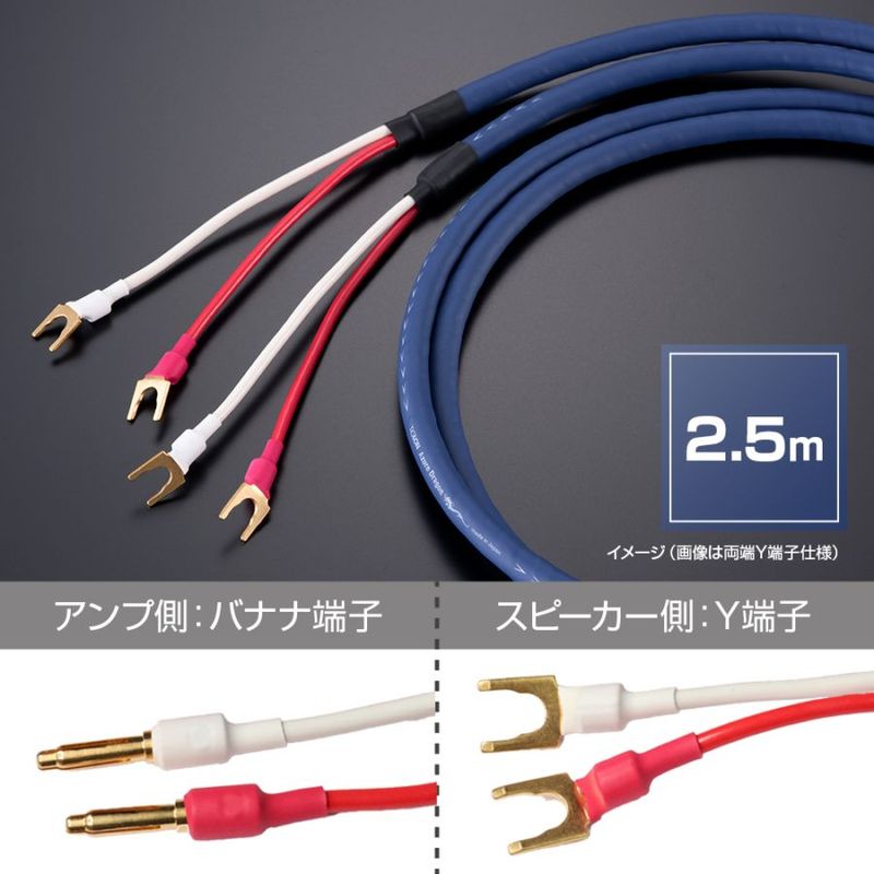 TIGLON - MS-DR20SP-AD/2.5-BY��AzureDragon�ˡʴ����ʥ��ԡ����������֥�/2.5m/�ڥ�/�����¦�Хʥ�ü�ҡ����ԡ�����¦Yü�ҡˡ�JP�աڥ᡼����ľ���ʡ�����Բġˡ�Ǽ���ϳ�ǧ�头Ϣ����