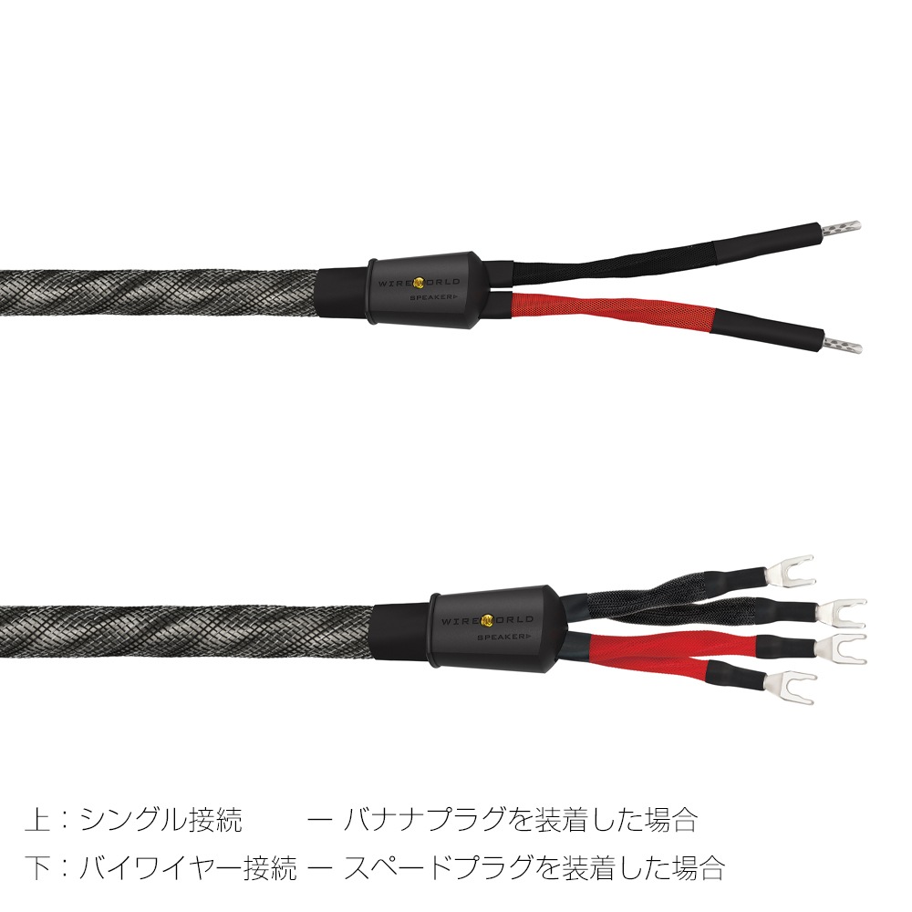 WIREWORLD - SES10/2.5m�ʥ��ԡ����������֥롦���󥰥�磻�䡼���ڥ�/��ü������ˡ�Silver Eclipse 10��ڼ�������/�׻�����ѡۡ�JP�ա�Ǽ���ϳ�ǧ�头Ϣ����