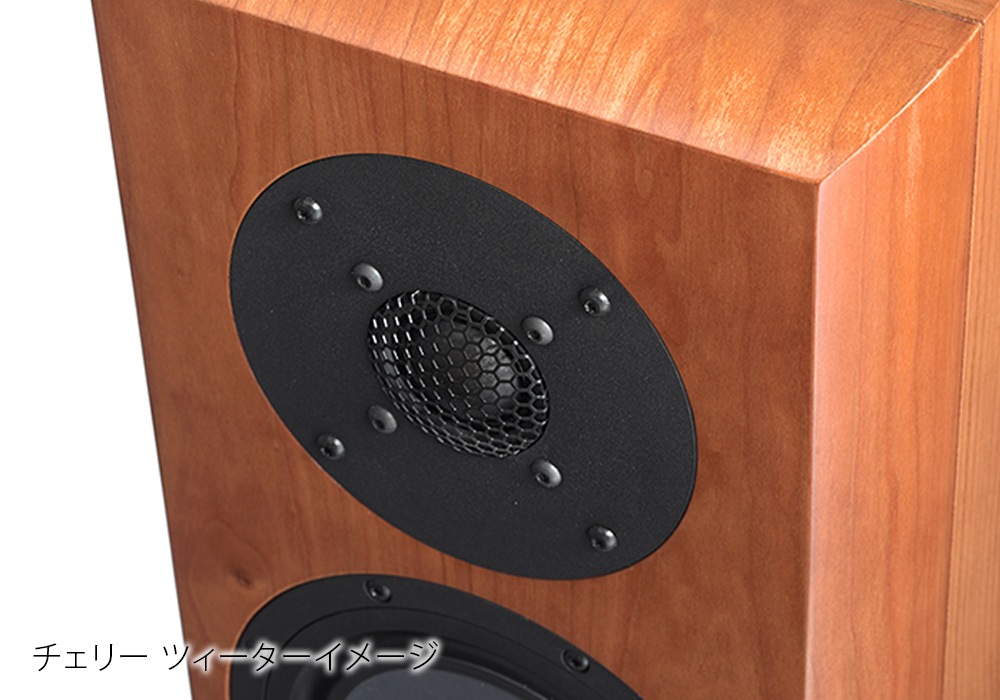 Vienna Acoustics - Haydn SE Signature/�ԥ��Υ֥�å���HAYD SE SIG BLK�ˡʥڥ��˥֥å�������ե��ԡ�������JP�աڥ᡼����ľ���ʡ�����Բġˡ�Ǽ���ϳ�ǧ�头Ϣ����