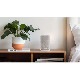 DENON - DENON HOME 150 NV ST/ۥ磻ȡDENONHOME150NVSTWˡʥƥ쥪ڥåȡAmazon Music HDSpotifyб/ⲻͥåȥԡJPաں߸ͭ¨Ǽ