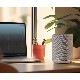 DENON - DENON HOME 150 NV ST/ۥ磻ȡDENONHOME150NVSTWˡʥƥ쥪ڥåȡAmazon Music HDSpotifyб/ⲻͥåȥԡJPաں߸ͭ¨Ǽ