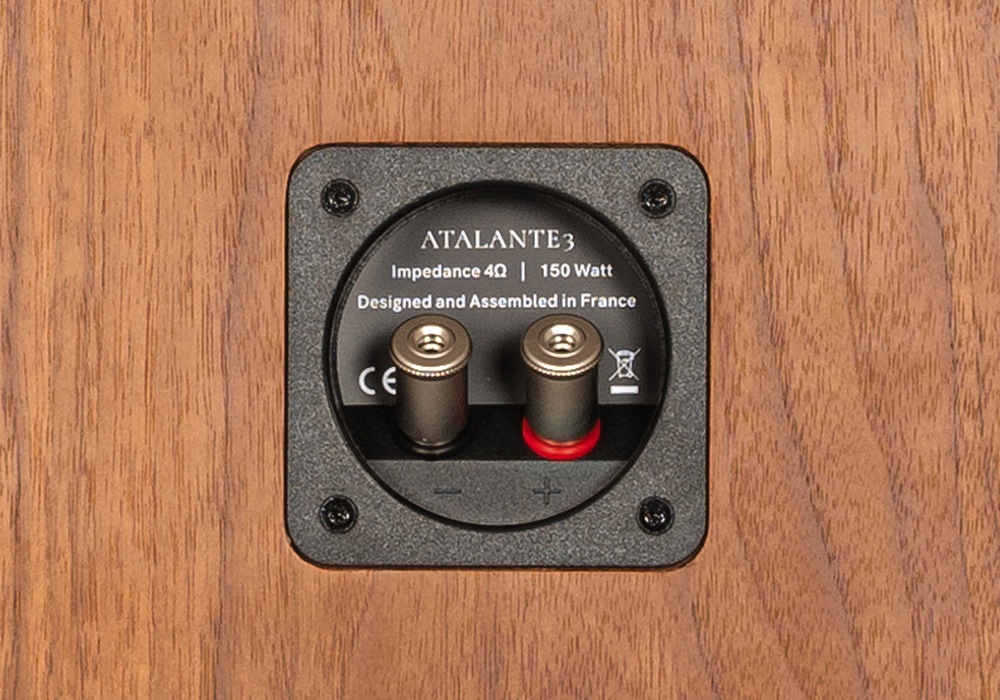 REVIVAL AUDIO - ATALANTE3/ʥåȡʥڥ˥֥åեԡJPաڥ᡼ľʡԲġˡǼϳǧ头Ϣ