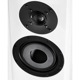 Vienna Acoustics - Mozart Infinity/BLK/ԥΥ֥åʥڥ˥եǥ󥰡¢ԡڼ/׻ѡۡJPաǼϳǧ头Ϣ