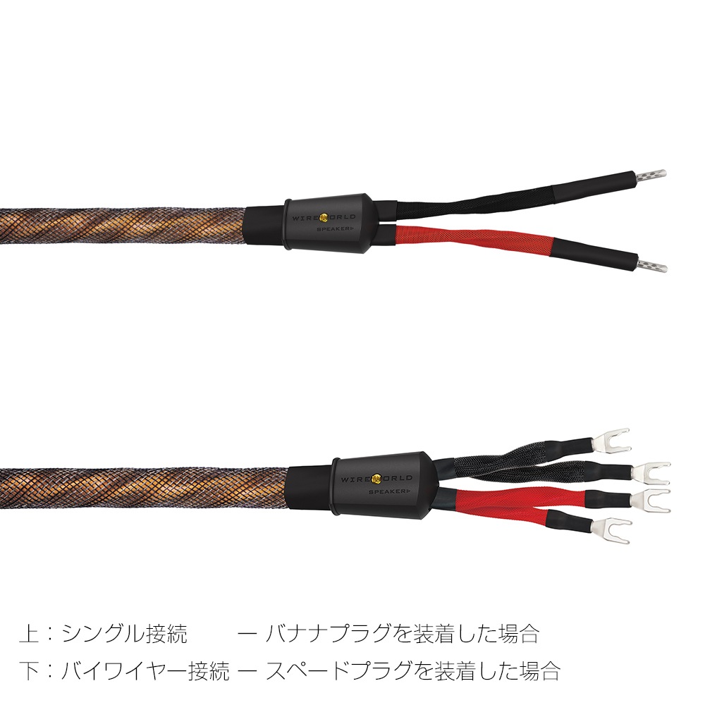 WIREWORLD - ECS10/2.0m�ʥ��ԡ����������֥롦���󥰥�磻�䡼���ڥ�/��ü������ˡ�Eclipse 10��ڼ�������/�׻�����ѡۡ�JP�ա�Ǽ���ϳ�ǧ�头Ϣ����