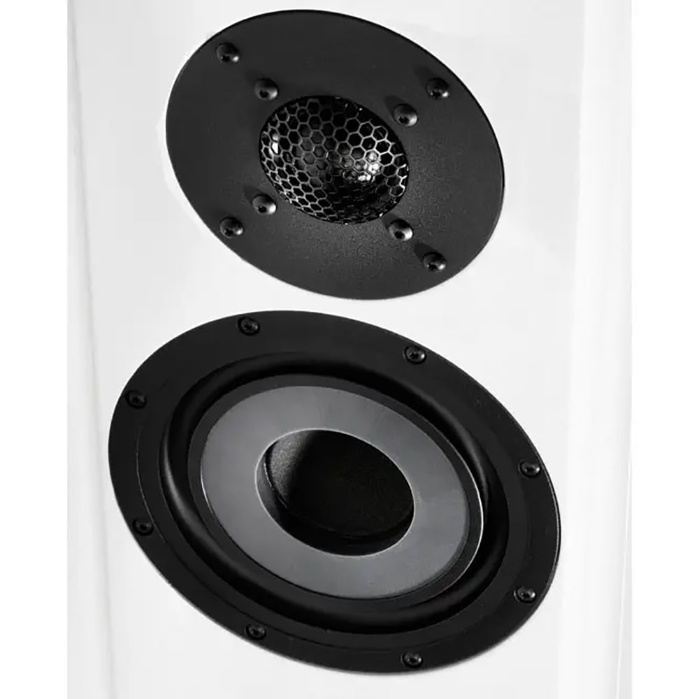 Vienna Acoustics - Mozart Infinity/WHT/�ԥ��Υۥ磻�ȡʥڥ��˥ե���������ǥ��󥰡��������¢���ԡ������ڼ�������/�׻�����ѡۡ�JP�ա�Ǽ���ϳ�ǧ�头Ϣ����