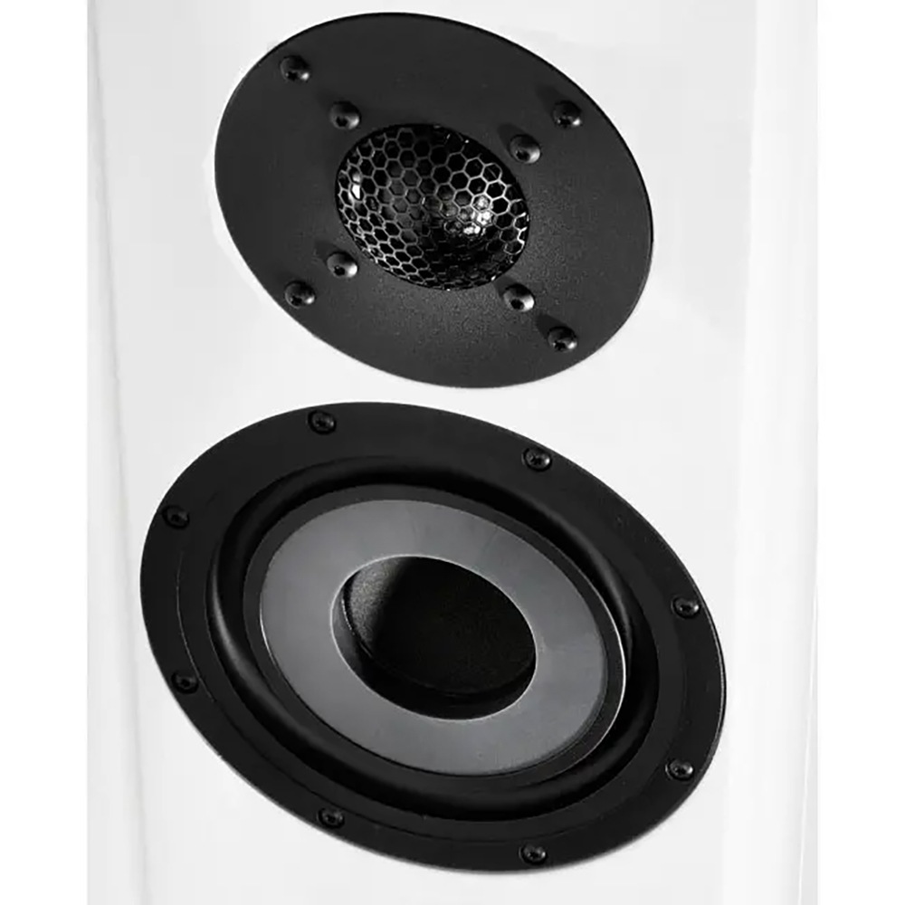 Vienna Acoustics - Mozart Infinity/CRY/�����꡼�ʥڥ��˥ե���������ǥ��󥰡��������¢���ԡ������ڼ�������/�׻�����ѡۡ�JP�ա�Ǽ���ϳ�ǧ�头Ϣ����