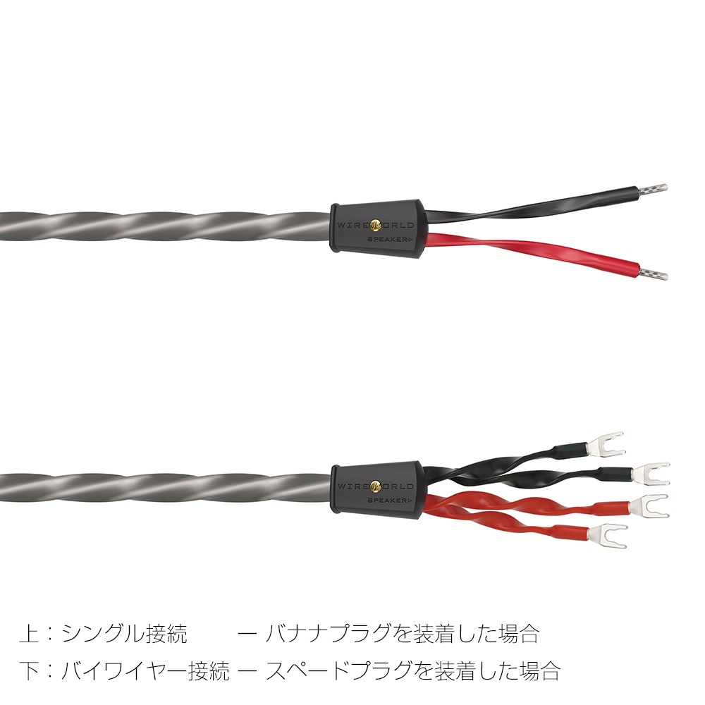 WIREWORLD - EQS10/2.5m�ʥ��ԡ����������֥롦���󥰥�磻�䡼���ڥ�/��ü������ˡ�Equinox 10��ڼ�������/�׻�����ѡۡ�JP�ա�Ǽ���ϳ�ǧ�头Ϣ����