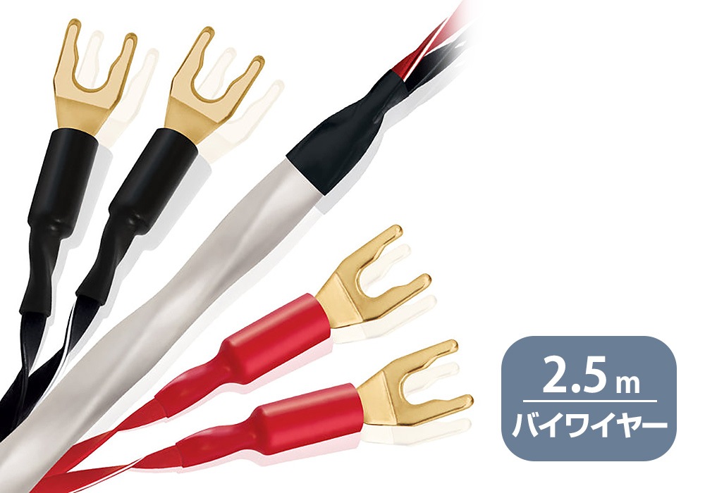 WIREWORLD - SOB8/2.5mʥԡ֥롦Х磻䡼ڥ/üˡSolstice 8ڼ/׻ѡۡJPաǼϳǧ头Ϣ