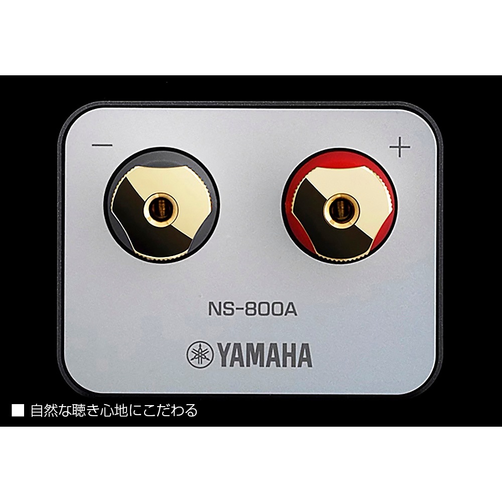 YAMAHA - NS-800A/BP/�ԥ��Υ֥�å���1�ܡ˥֥å�������ե��ԡ�������JP�աں߸�ͭ��¨Ǽ��