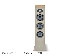 FOCAL - Theva No.2/DO/��������������1�ܡ˥ե���������ɥ��ԡ�������JP�աں߸�ͭ��¨Ǽ��