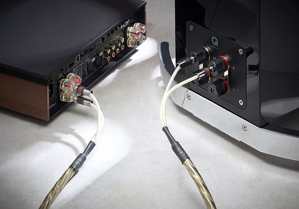 QED - Reference Golden Anniversary XT/2.0mʥڥˡʴʥԡ֥/üˡڼ/׻ѡۡJPաǼϳǧ头Ϣ