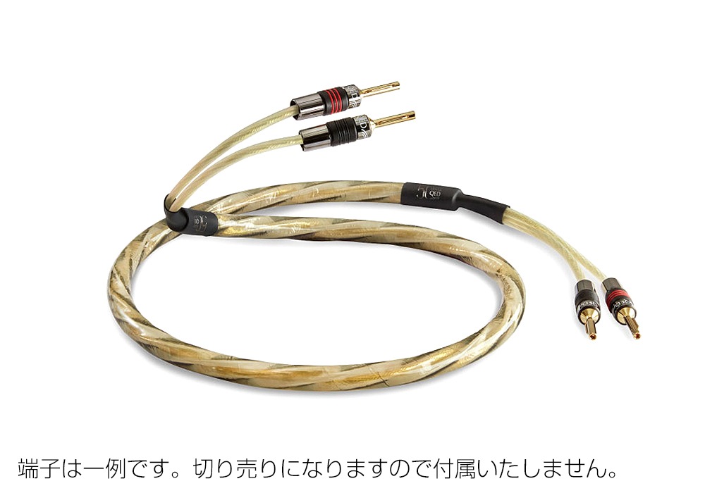 QED - Reference Golden Anniversary XT��1.0mñ���ڤ���ꥹ�ԡ����������֥�ˡ�JP�աں߸�ͭ��¨Ǽ��