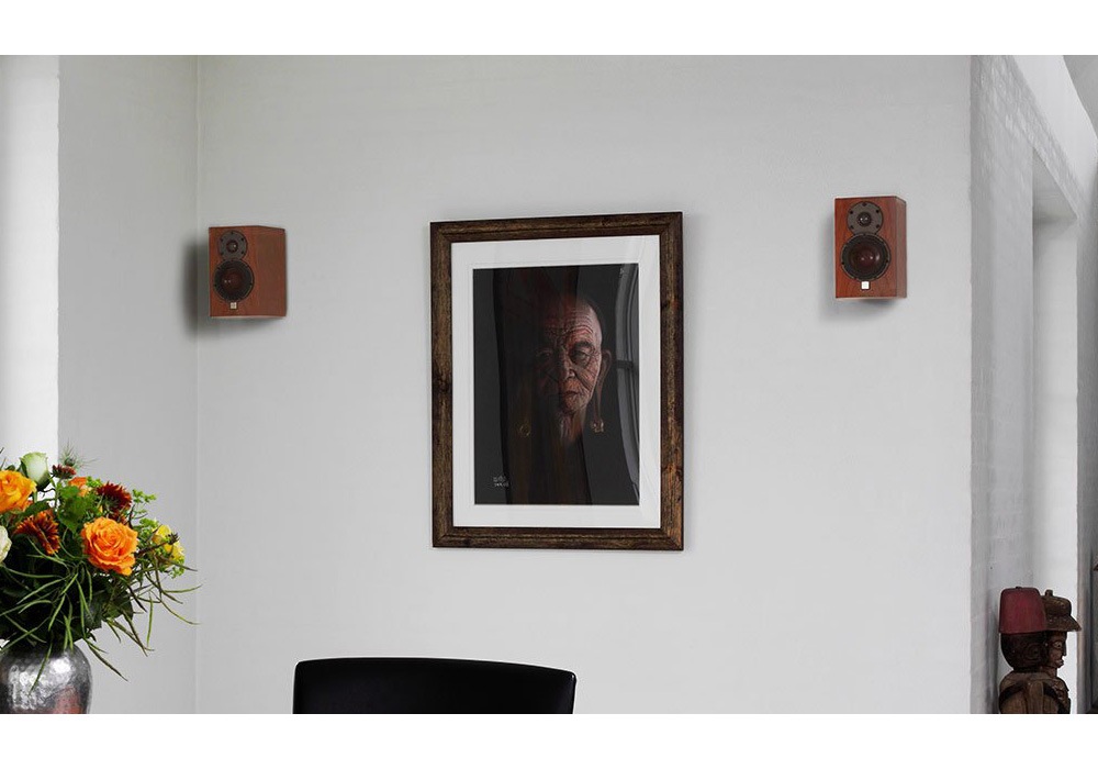 DALI - MENUET/W/�������ۥ磻�ȡʥڥ��˥֥å�������ե��ԡ�������JP�աں߸˸¤ꡦ�߸�ͭ��¨Ǽ��