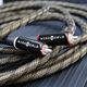 WIREWORLD - GEI10RCA/0.5m��RCA�����֥롦�ڥ��ˡ�Gold Eclipse 10�䥴����� ������ץ�10��JP�աڥ᡼��������ʡ�Ǽ���ϳ�ǧ�头Ϣ����