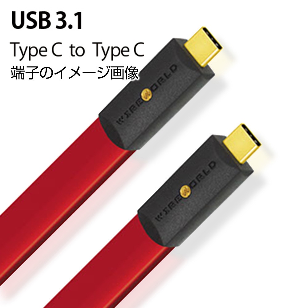 WIREWORLD - S3CC/0.6m（USB3.1ケーブル・C-C）＜Starlight 8＞《JP