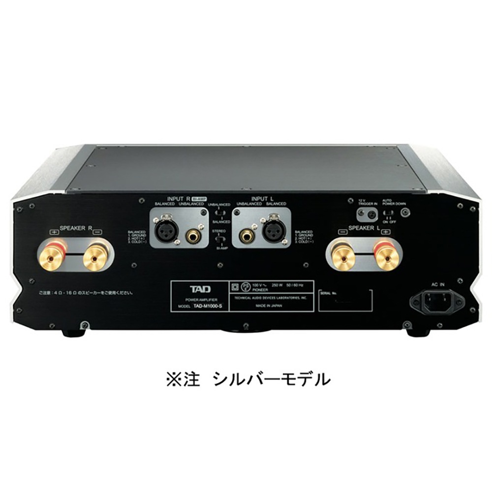 TAD - M1000-K/�֥�å��ʥ��ƥ쥪�ѥ����סˡںǽ��ò�1��¤�ۡ��緿TAD�ѡ�JP�աڴ����
