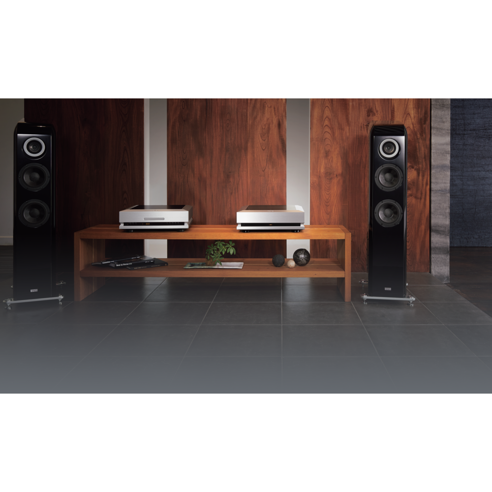 TAD - M1000-K/�֥�å��ʥ��ƥ쥪�ѥ����סˡںǽ��ò�1��¤�ۡ��緿TAD�ѡ�JP�աڴ����