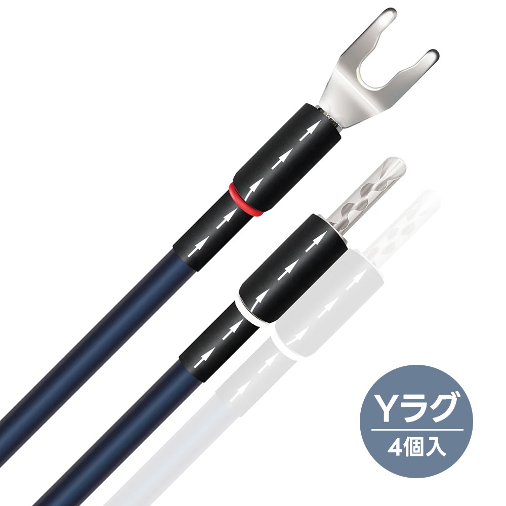 WIREWORLD - JPOA10 SPDS/4PY饰4ˡOasis 10JPաڥ᡼ʡǼϳǧ头Ϣ