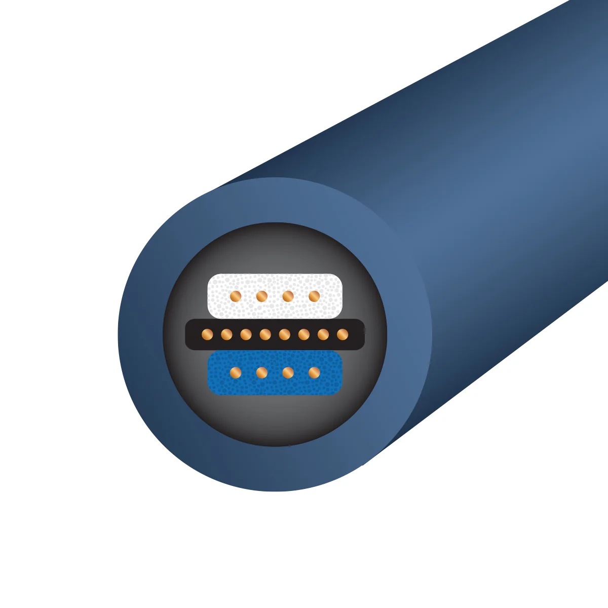 WIREWORLD - JPOA10 SPDS/4PY饰4ˡOasis 10JPաڥ᡼ʡǼϳǧ头Ϣ