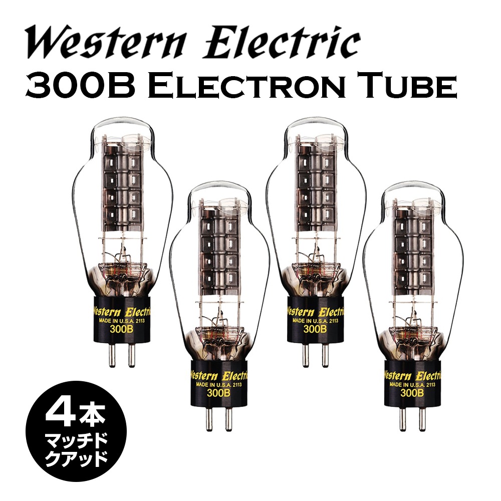 Western Electric - WE300B-MQ-BOX4ܡޥåɥåɿɡȢ͢ʡJPաڥ᡼ʡǼϳǧ头Ϣ