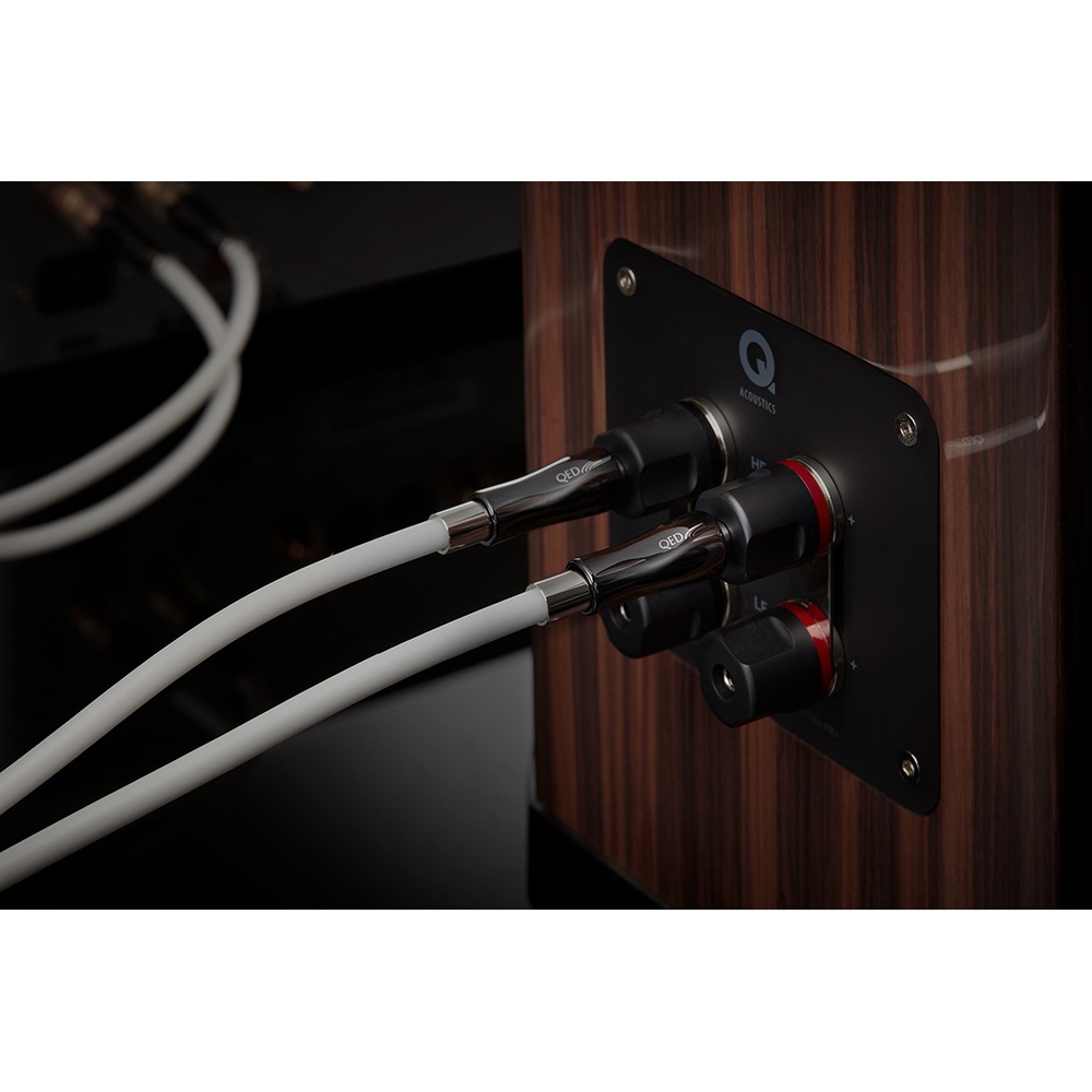 QED - SUPREMUS Zr�ʥ��ץ졼�ॹ Zr��/2.0m�ʴ����ʥ��ԡ����������֥롦�ڥ��˥��󥰥���³�����ѥХʥʥץ饰���͡ڼ�������/�׻�����ѡۡ�JP�ա�Ǽ���ϳ�ǧ�头Ϣ����