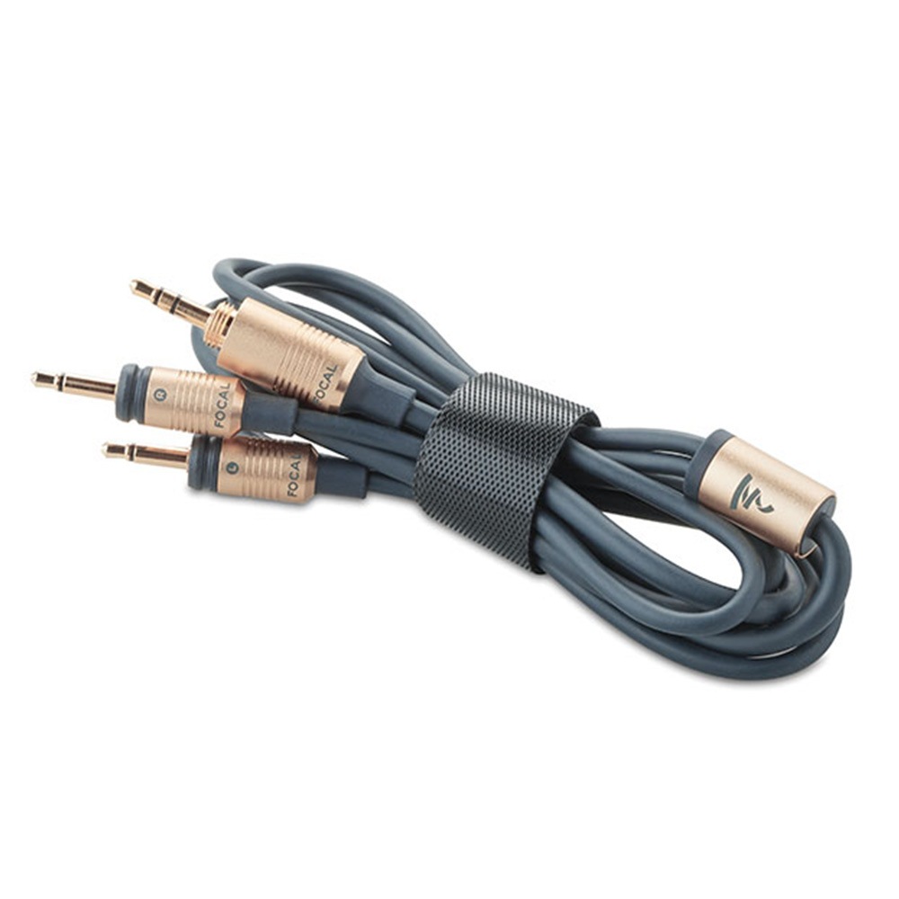 FOCAL - CELESTEE/���쥹�ƥ���̩�ķ��إåɥۥ�ˡ�JP�աڴ����