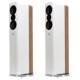 Q Acoustics - Q CONCEPT 500/ۥ磻&饤ȥʥڥ˥ȡܡԡڼ/׻ѡۡJPաǼϳǧ头Ϣ