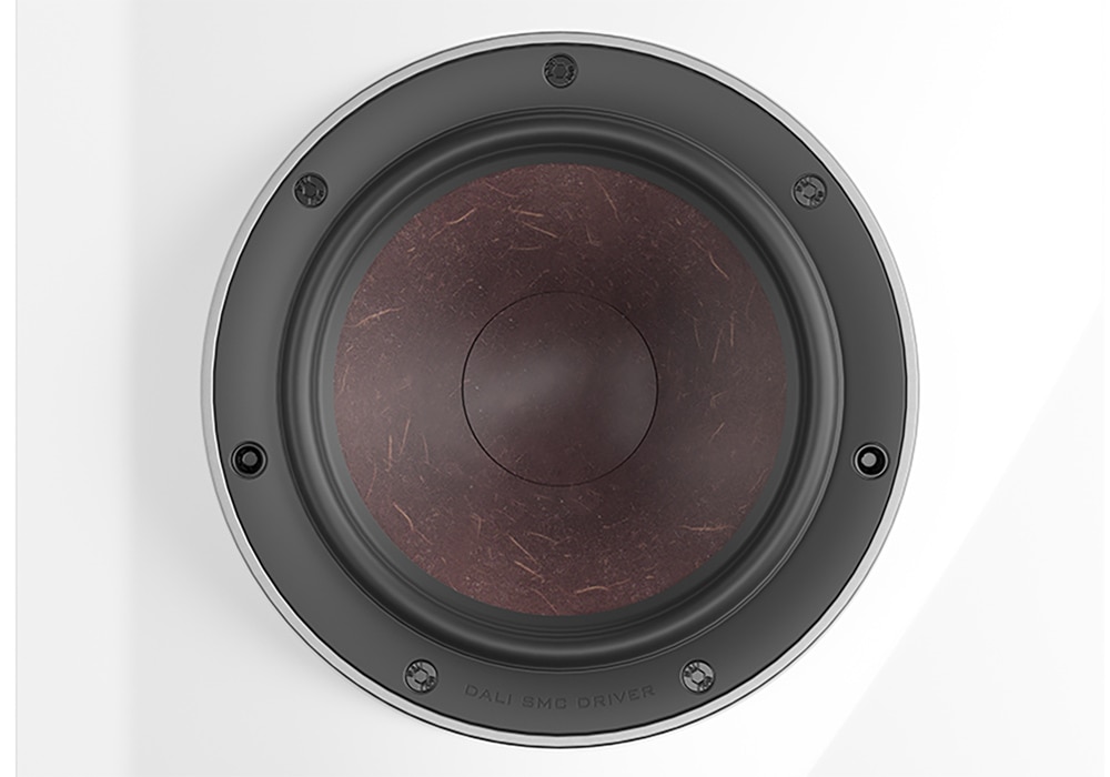 DALI - RUBICON LCR/MA/ޥ롼1ܡɳݤѥԡJPաڴ