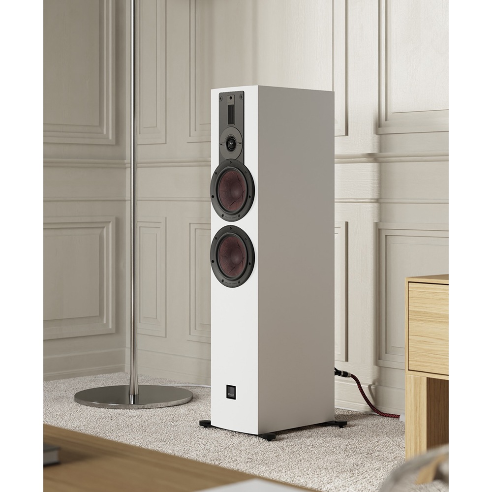 DALI - RUBIKORE6/B/�ϥ����������֥�å���1�ܡ˥ե���������ɥ��ԡ�������JP�աڥ᡼��������ʡ�Ǽ���ϳ�ǧ�头Ϣ����