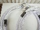 QED - Signature-Genesis-Bi Wire/2.0m �Хʥʡ�B���ʡ١�JP-u��