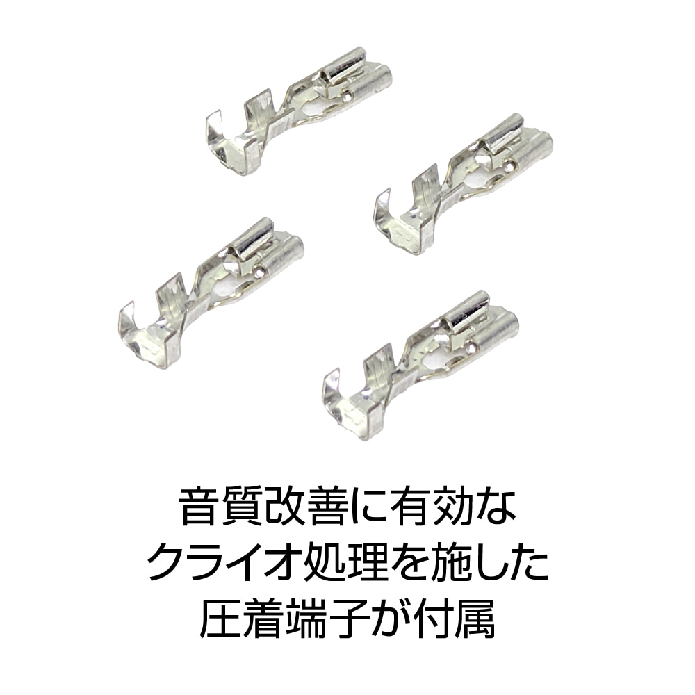 AIRBOW - NL4MPRXX/CR��1�ġˡ����դ����ԡ����������֥�ü���ˡ�JP��