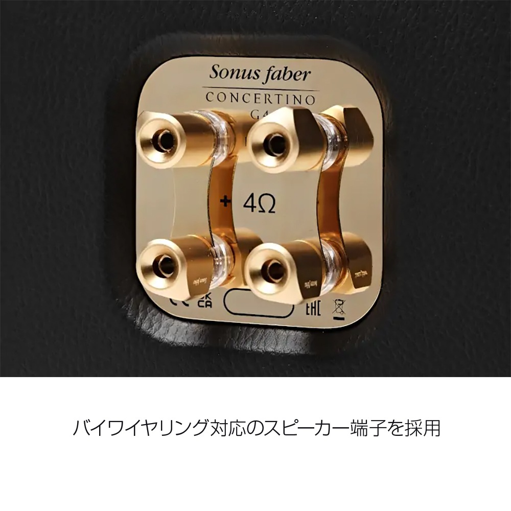 Sonus Faber - Concertino G4㥳ƥ G4ʥڥ˥֥åեԡJPաڥ᡼ʡǼϳǧ头Ϣ
