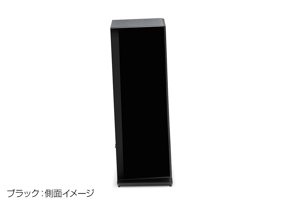 FOCAL - Vestia No.2/B/֥å1ܡ˥եɥԡJPաں߸˸¤ꡦ߸ͭ¨Ǽ
