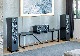 FOCAL - Vestia No.2/B/֥å1ܡ˥եɥԡJPաں߸˸¤ꡦ߸ͭ¨Ǽ