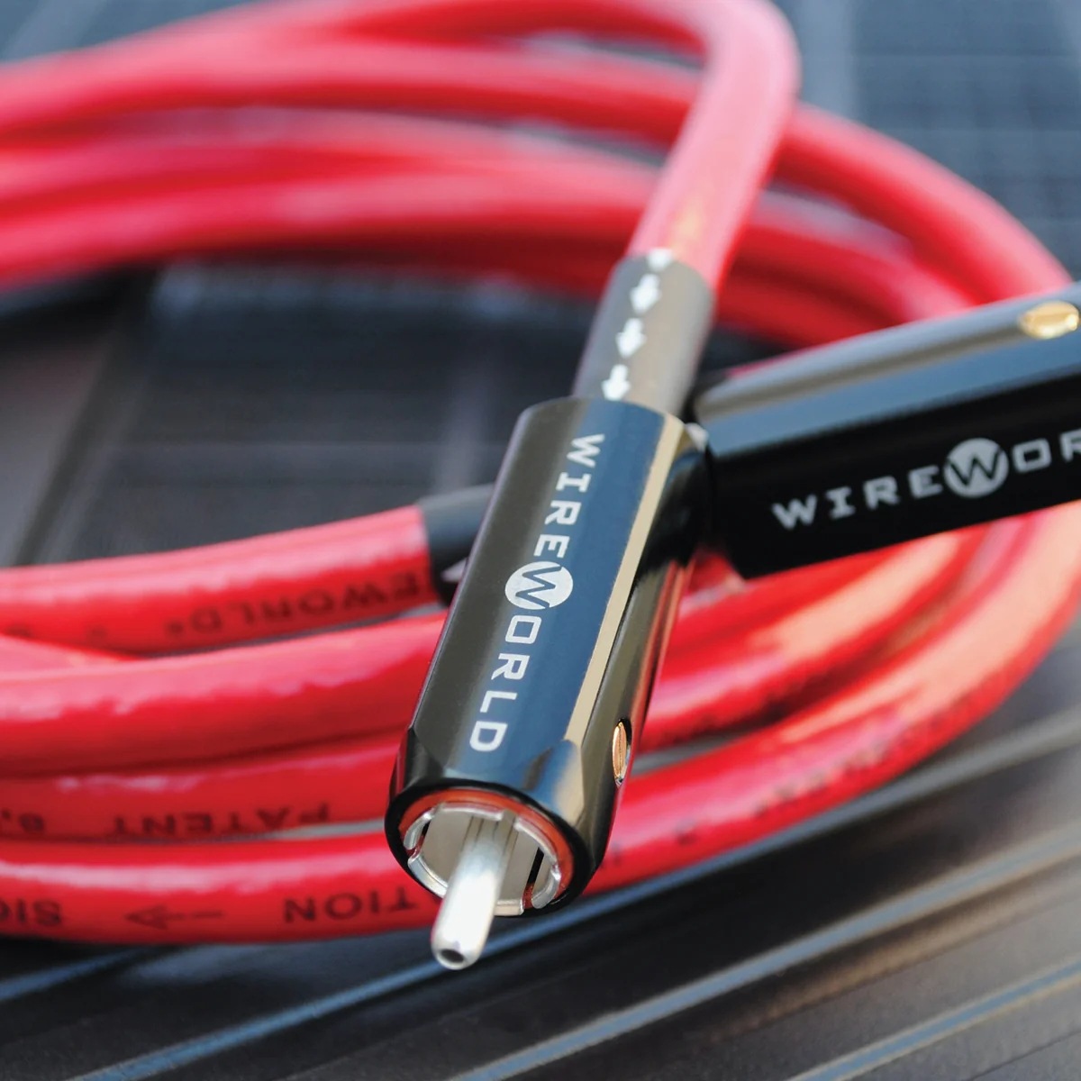 WIREWORLD - STV10BNC/0.5m��BNCü�ҡ��ǥ����륱���֥롦1�ܡˡ�Starlight 10���JP�աڥ᡼��������ʡ�Ǽ���ϳ�ǧ�头Ϣ����