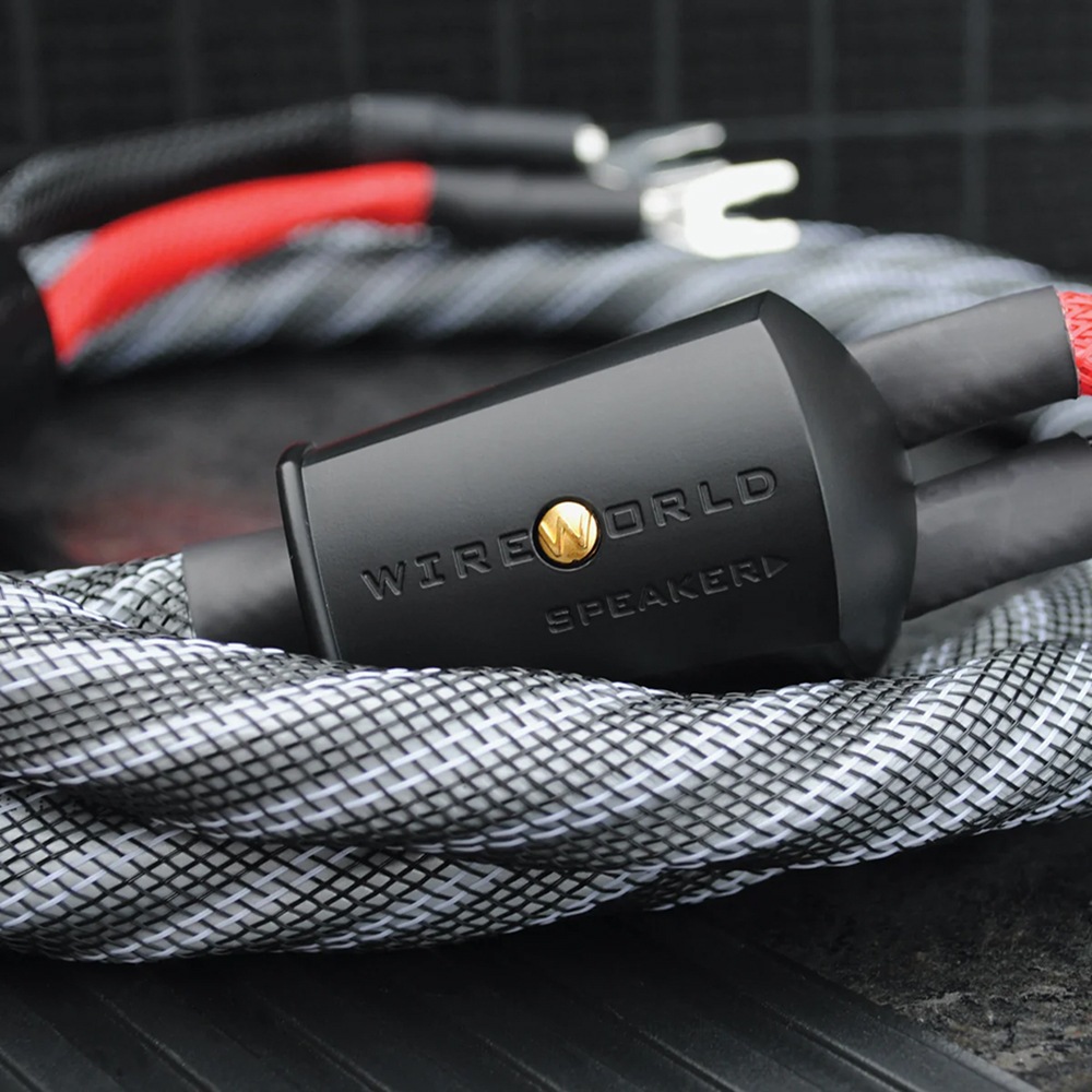 WIREWORLD - PES10/2.5m�ʥ��ԡ����������֥롦���󥰥�磻�䡼���ڥ�/��ü������ˡ�Platinum Eclipse 10��ڼ�������/�׻�����ѡۡ�JP�ա�Ǽ���ϳ�ǧ�头Ϣ����