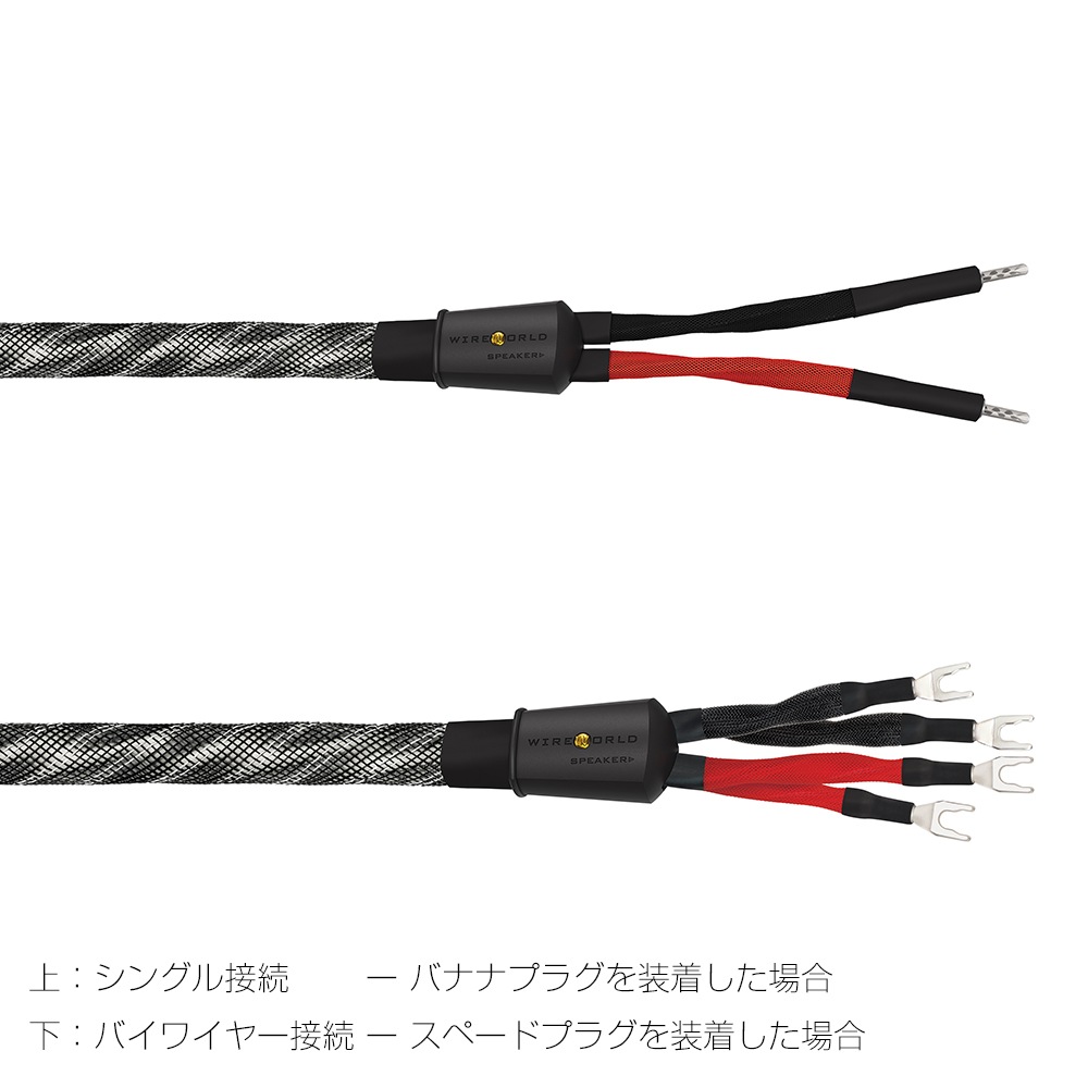 WIREWORLD - PES10/2.5m�ʥ��ԡ����������֥롦���󥰥�磻�䡼���ڥ�/��ü������ˡ�Platinum Eclipse 10��ڼ�������/�׻�����ѡۡ�JP�ա�Ǽ���ϳ�ǧ�头Ϣ����